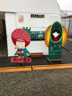 観光農園(貸農園)について