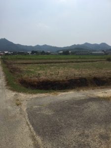 加西イチゴ園(ハウス2反)