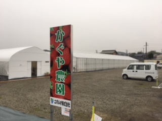 加西イチゴ園(ハウス2反)