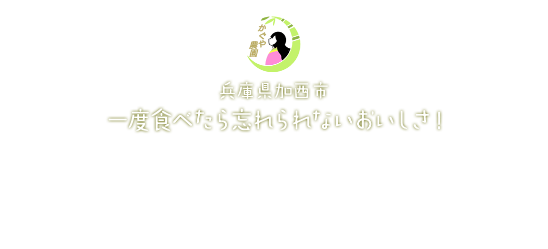 兵庫県加西市　一度食べたら忘れられないおいしさ！