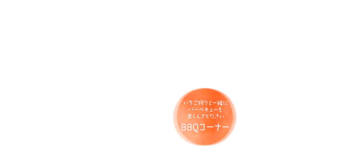 いちご狩りと一緒にバーベキューも楽しんでください　BBQコーナー　