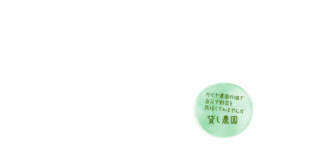 かぐや農園 兵庫県加西市のぶどうの直売といちご狩り農園