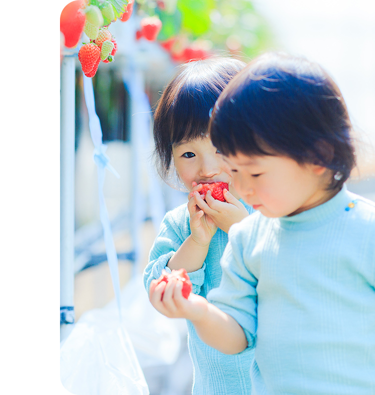 美味しい想い出を一粒一粒に込めて。